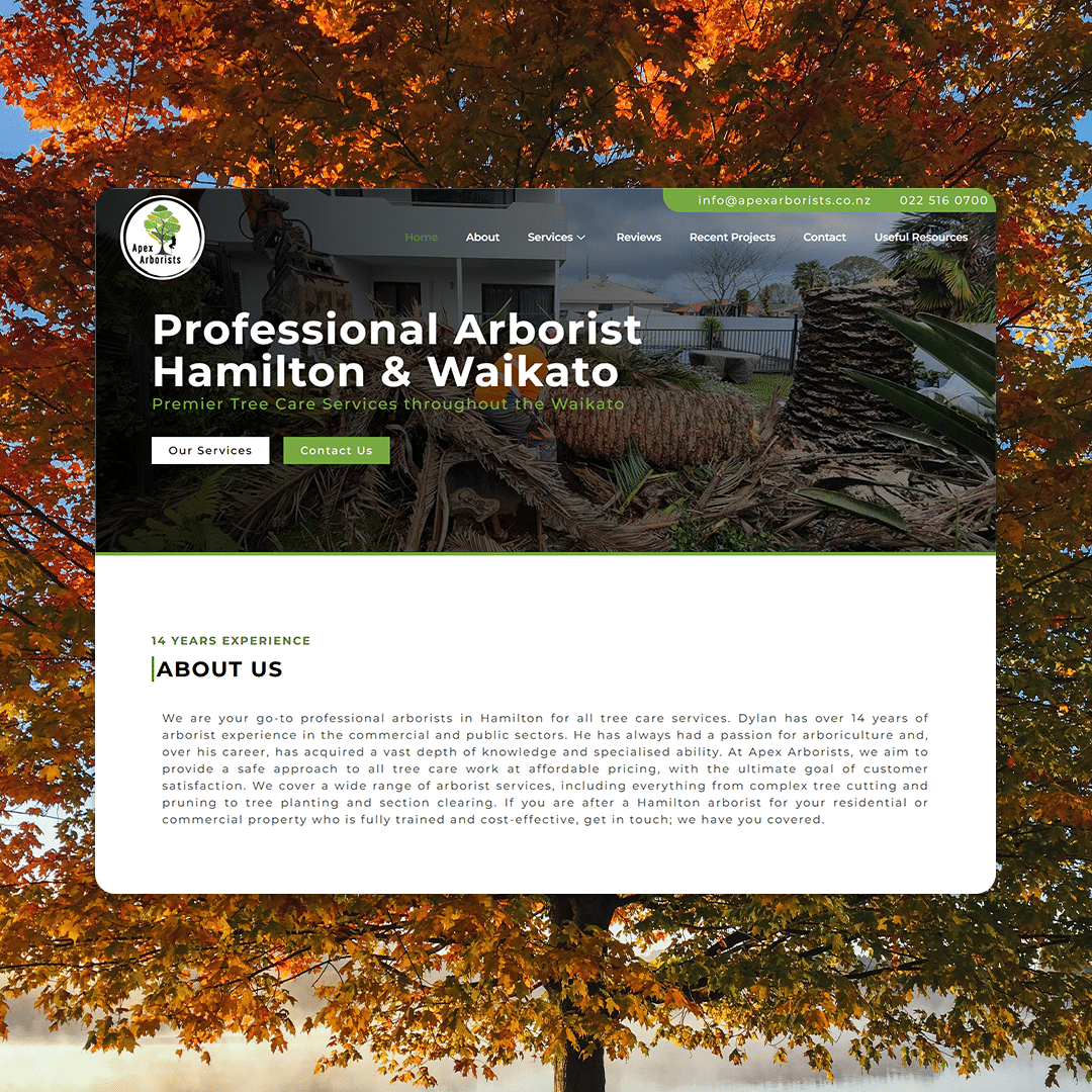 hamilton website design